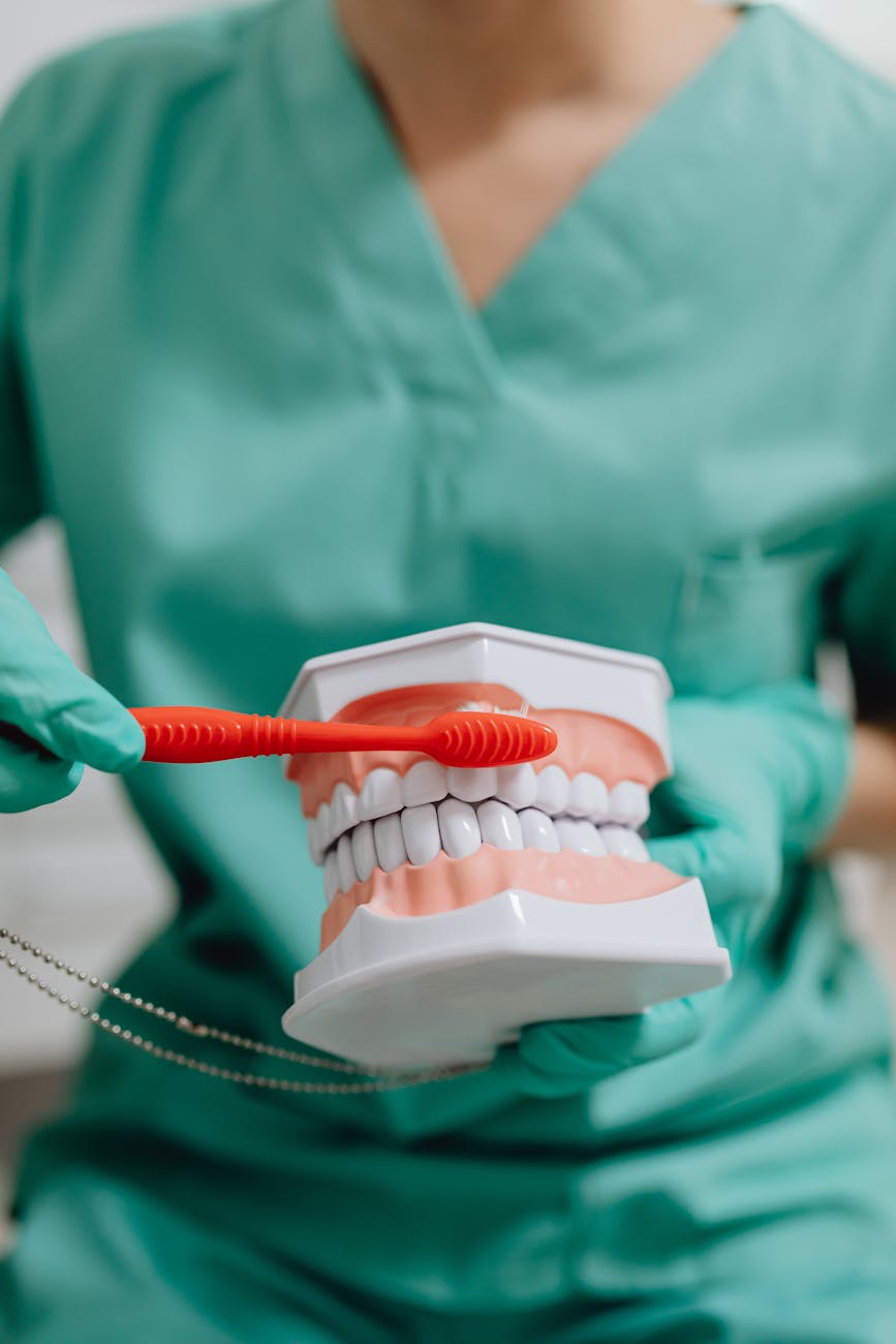 selective focus photo of a dentist demonstrating how to brush teeth
